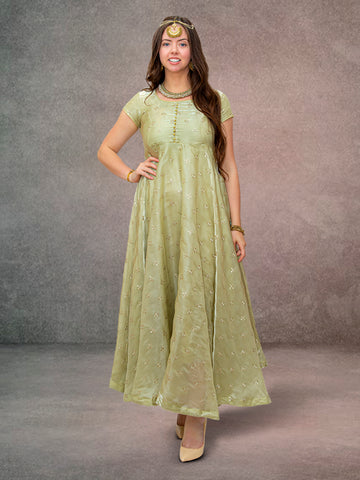 Pastel Green Color Organza Dress with Gold Work