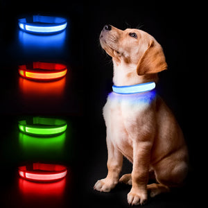 Luminous Waterproof Dog Collar - crosbysvarietyshop