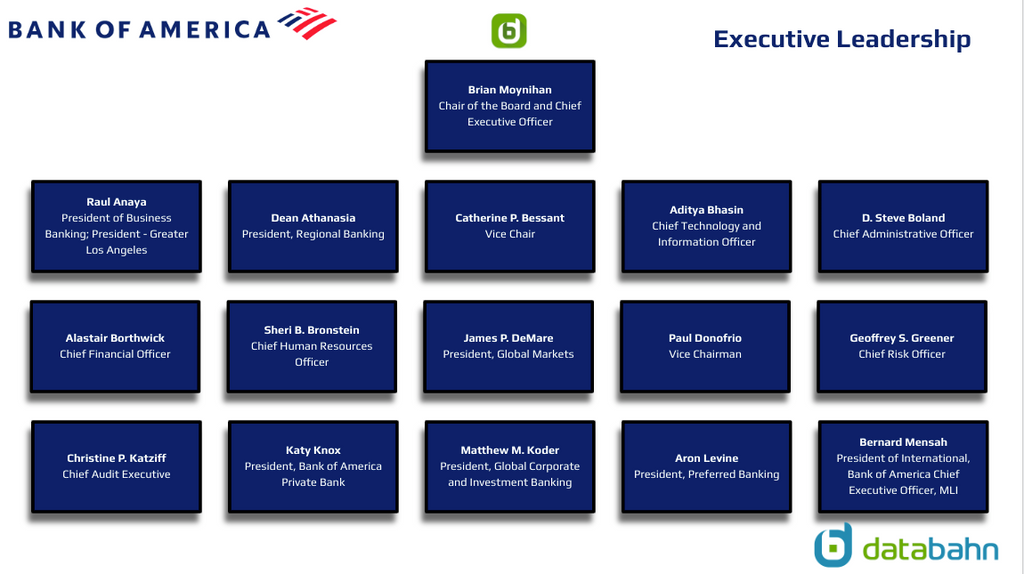 Bank of America Org Chart Executive Leadership