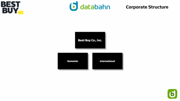 Best Buy organizational structure