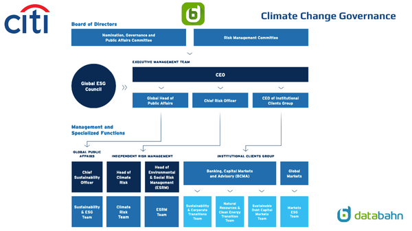 Citigroup Org Chart Climate Change Governance