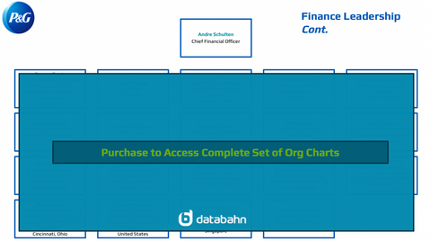 Procter and Gamble Org Chart Finance