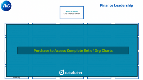 Procter and Gamble Org Chart Finance