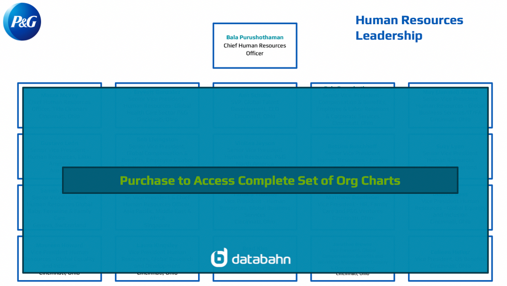 Procter and Gamble Org Chart Human Resources