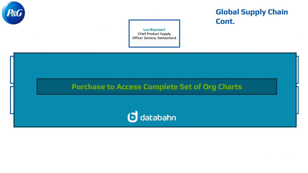 Procter and Gamble Org Chart Human Resources