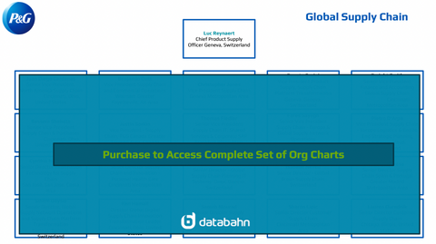 Procter and Gamble Org Chart Human Resources