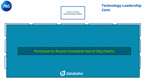 Procter and Gamble Org Chart Technology