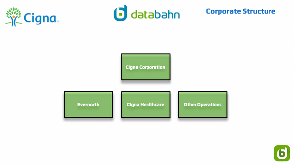 Cigna Organizational Structure