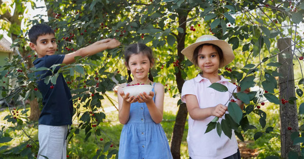 Kinder pflanzen Bäume im Freien