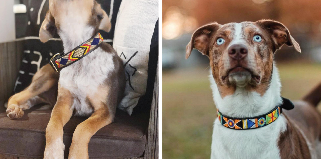 beaded dog collars