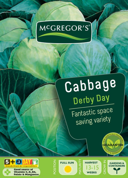 Seeds M6200 Cabbage Derby Day Sunnys Variety Stores