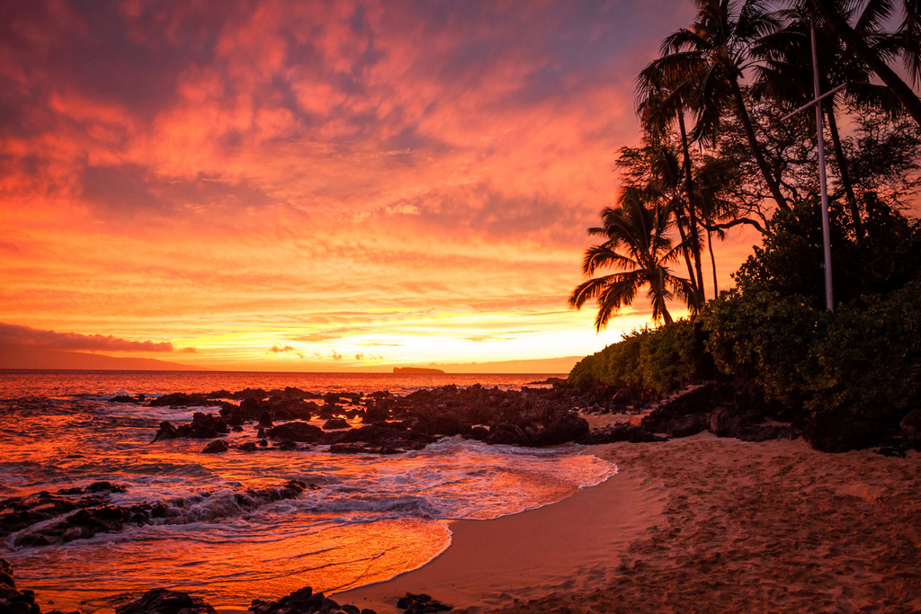 Makena Cove Maui Hawaii Beach Wedding Elopement Location