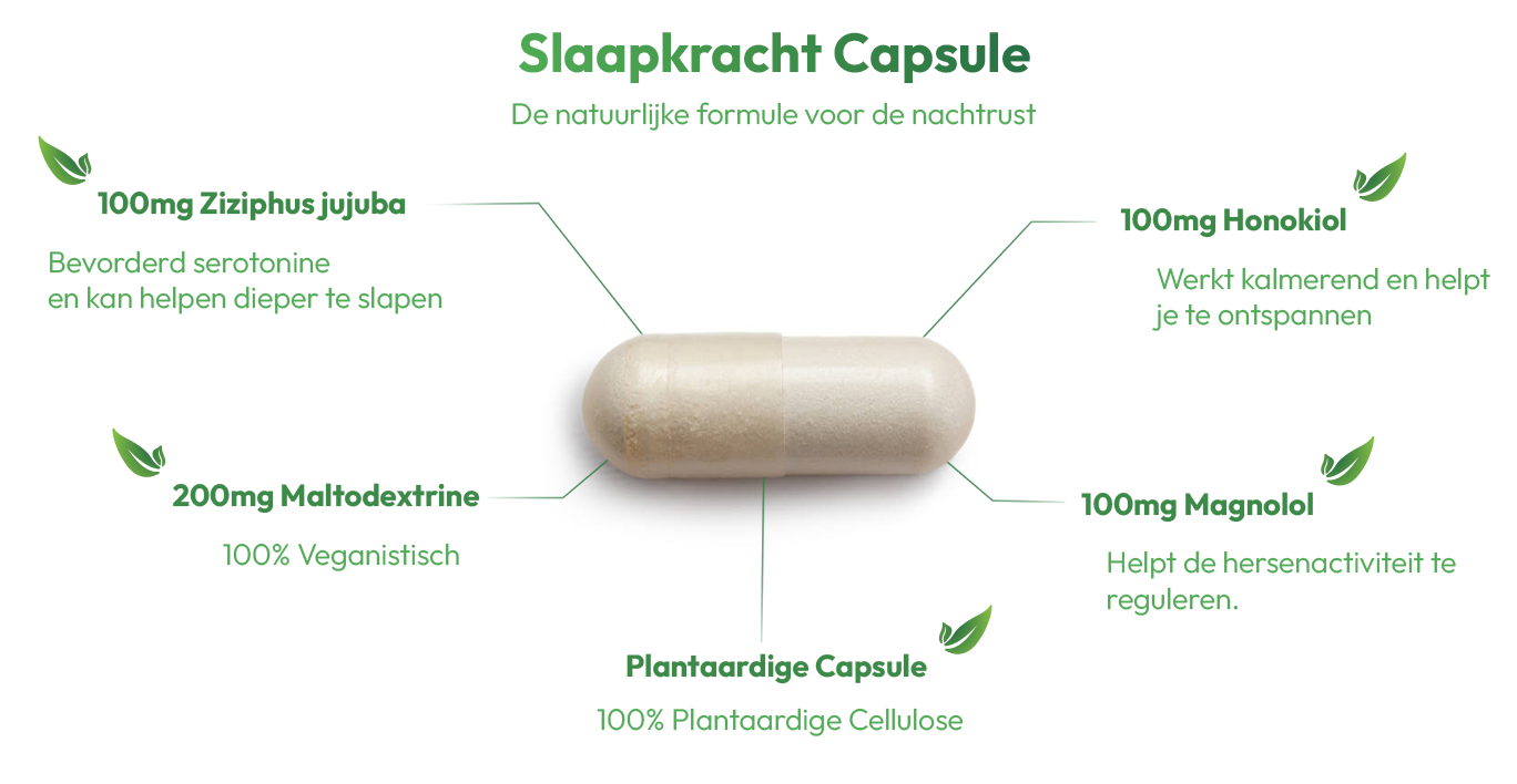 slaapkracht-infographic