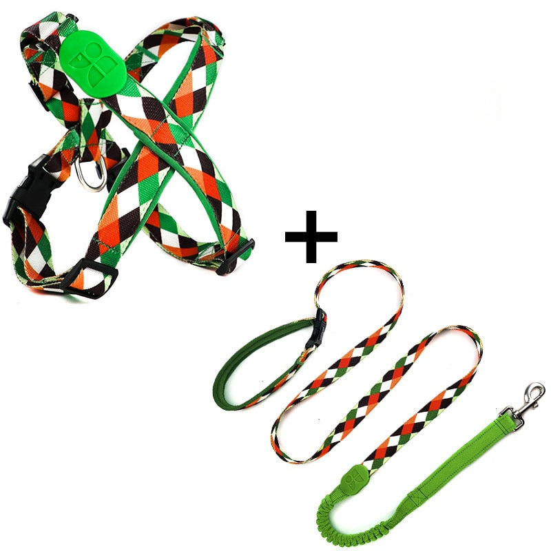 Harness And Leash Set Training