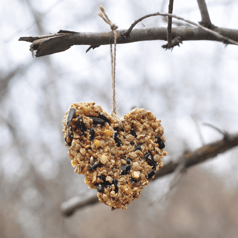 Make a birdseed ornament.  Earth Day activity for kids.