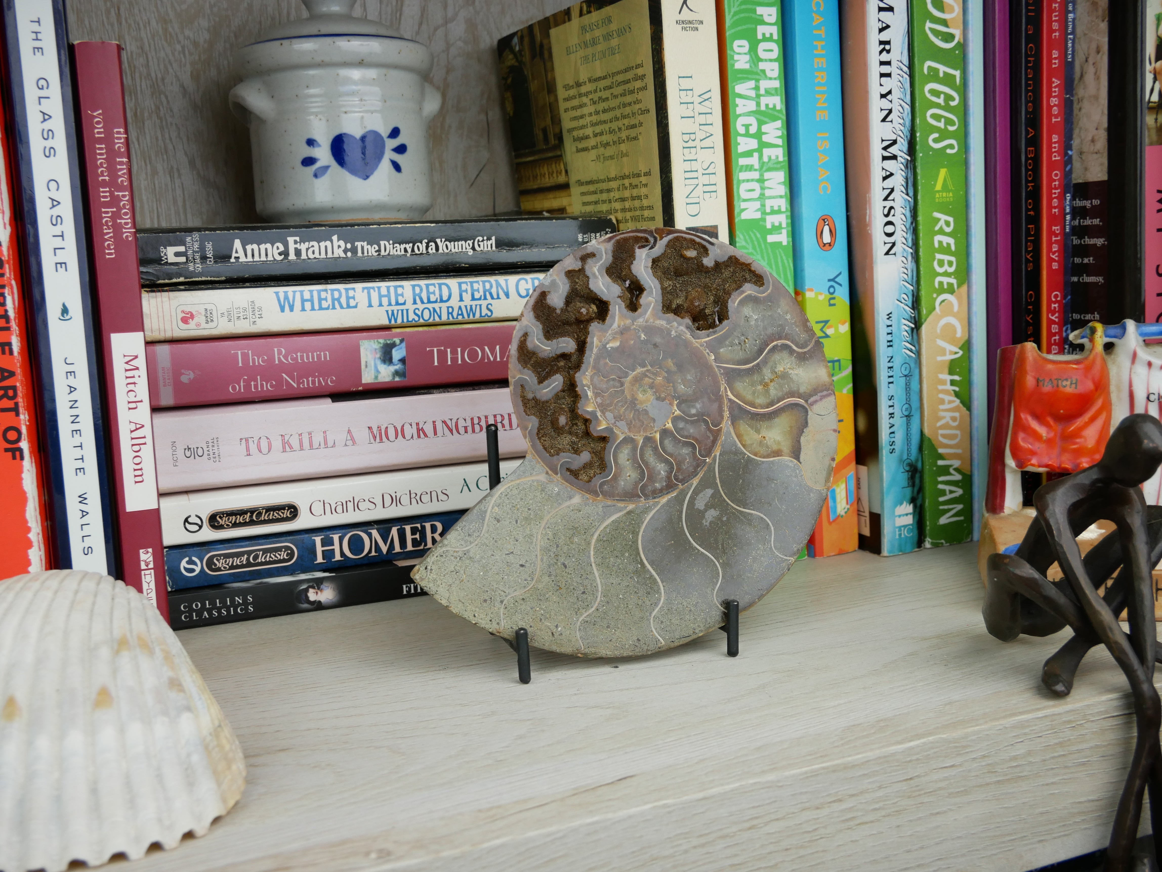 4.5" Polished Desmoceras Ammonite Fossil Half | 10.2 ounces