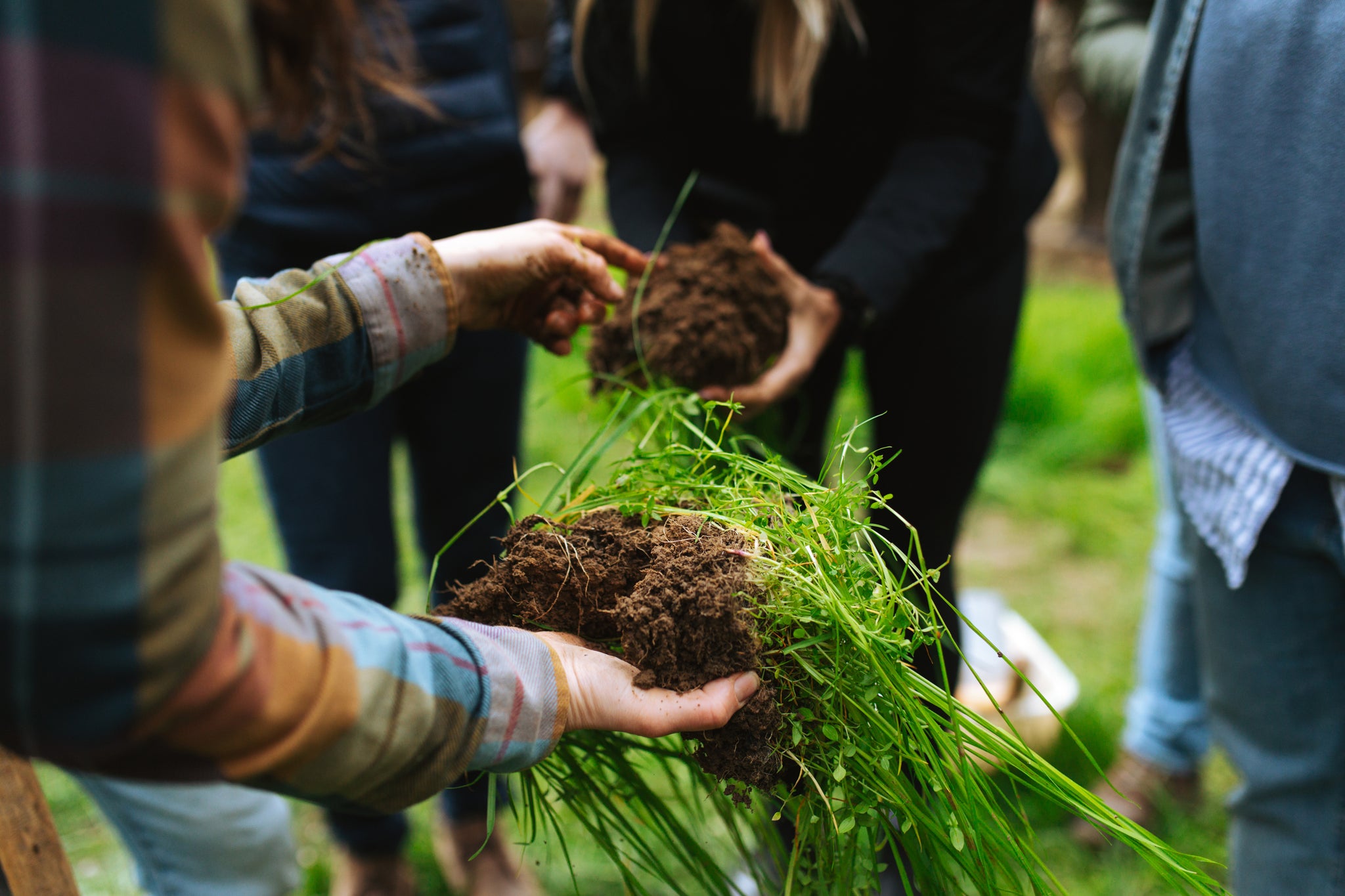 The group examining the soil