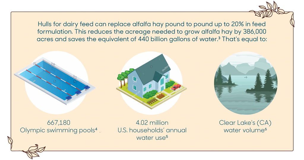 Water Usage Comparisons