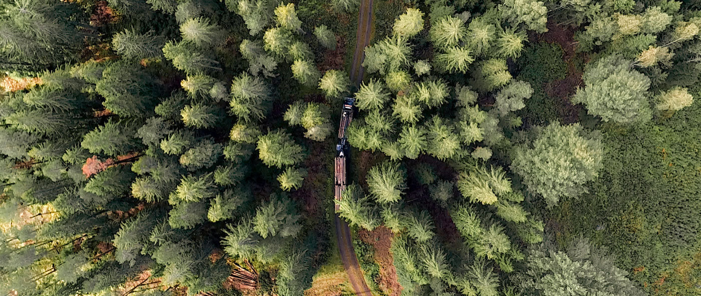 felled timber being driven through a woodland