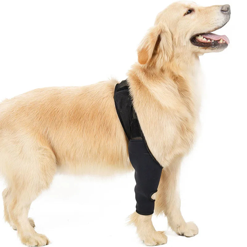 Protetor de Perna Ortopédico para Cães - Pedepet