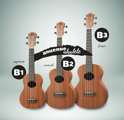 aNueNue B Series