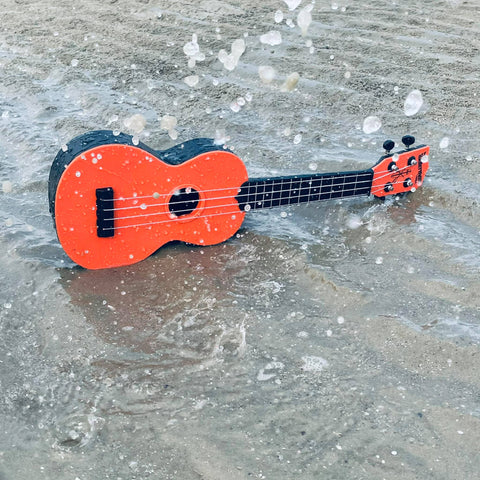 waterman ukulele ribbee