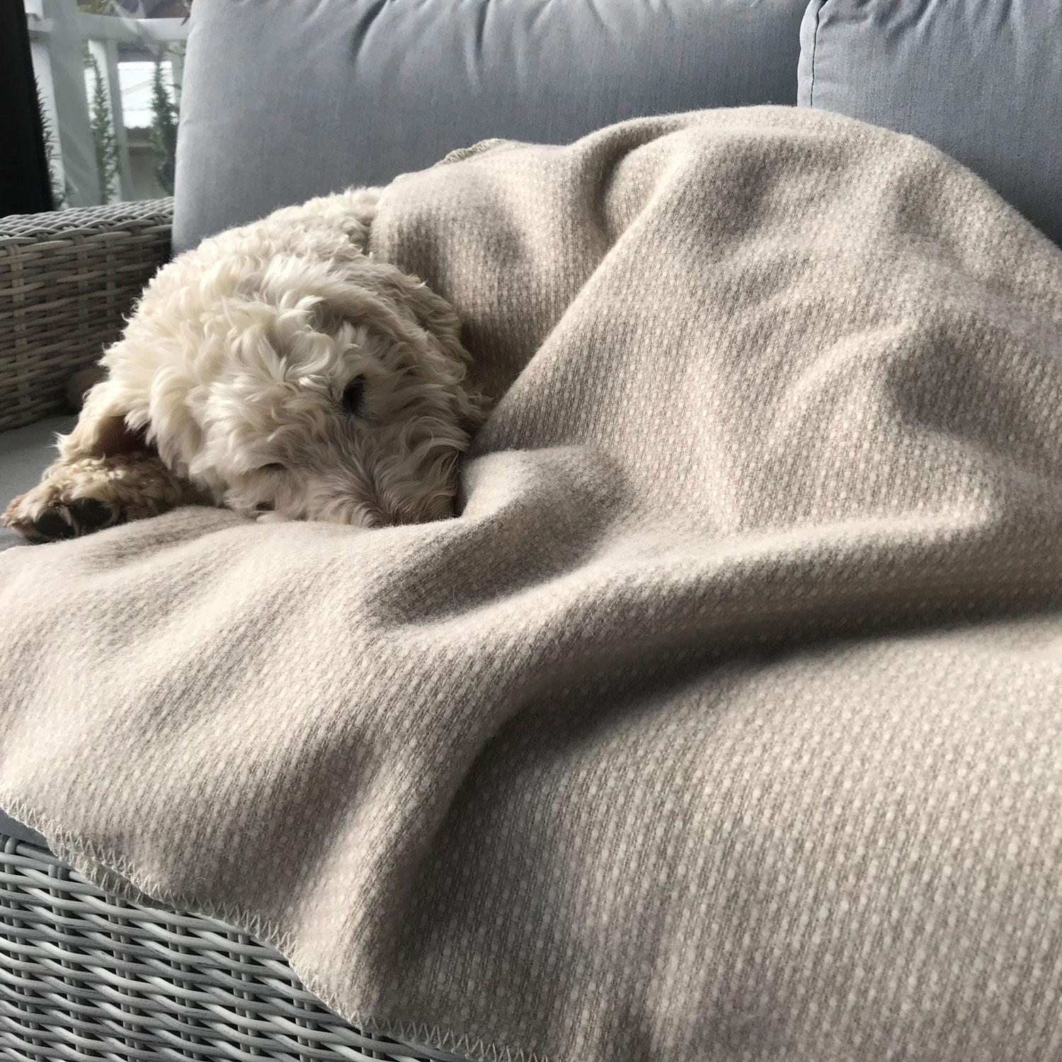 pawever pets waterproof dog bed large on waterproof pet blanket nz