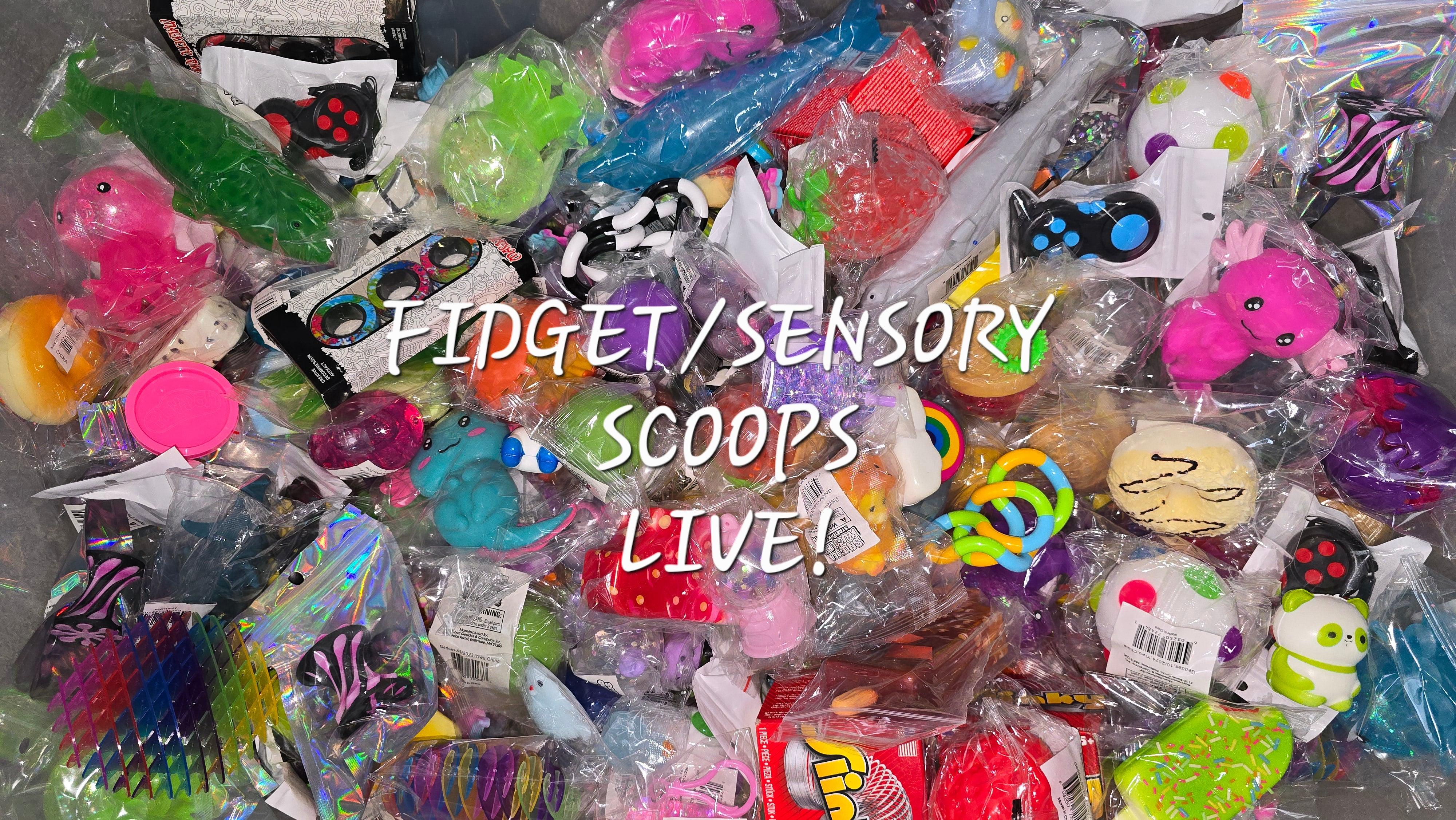Fidget/Sensory Items Mystery Scoop!