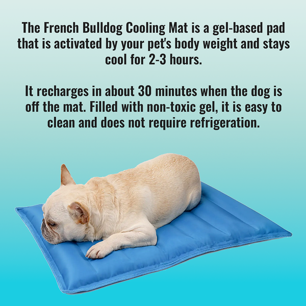 french bulldog cooling mat