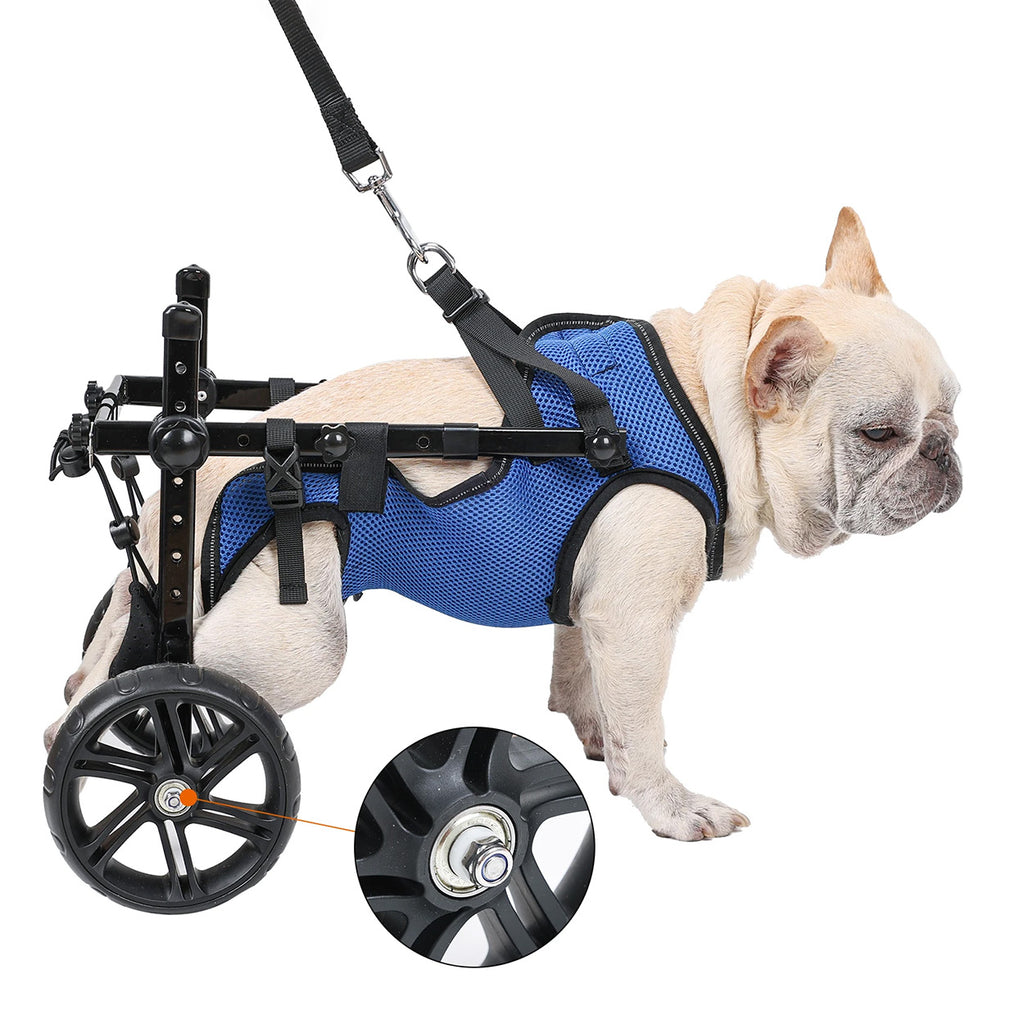 French Bulldog Adjustable Wheelchair French Bulldog Rescue