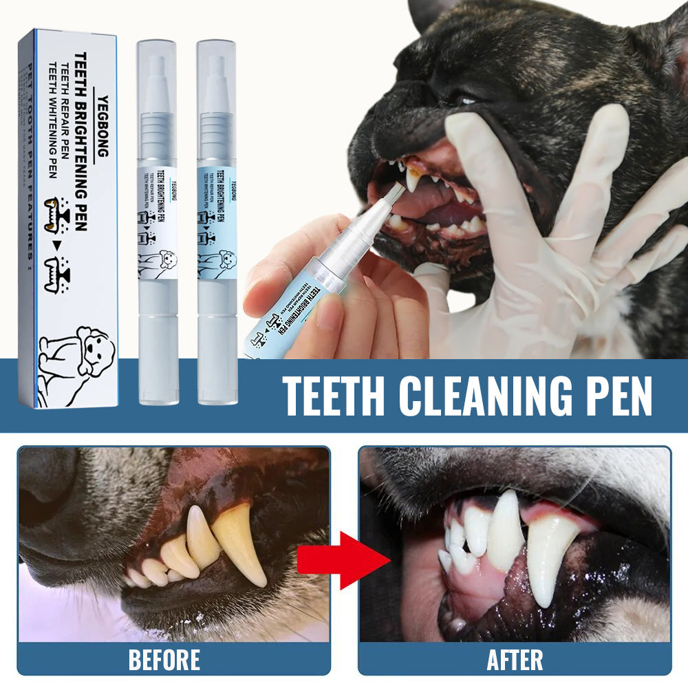 French Bulldog Teeth Cleaning Pen Before and After