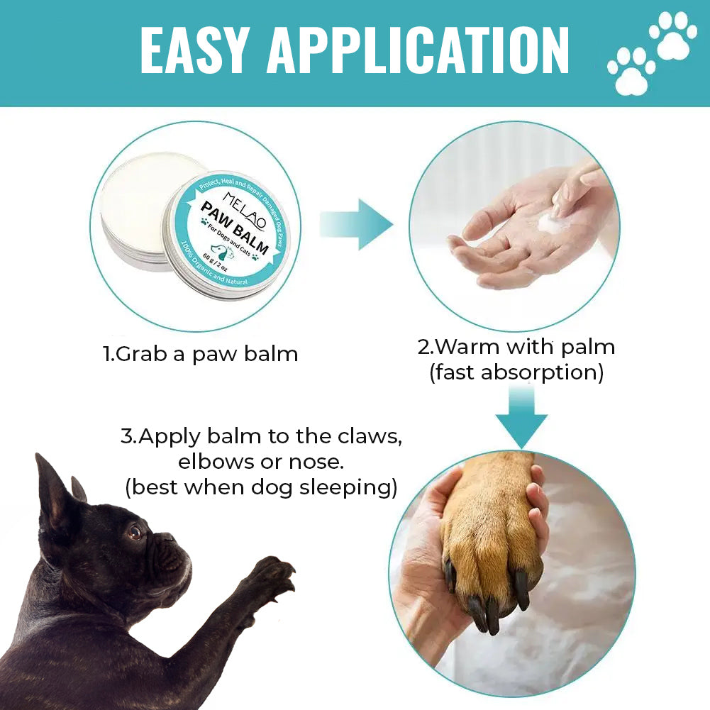 How to Use PawSoothlushion French Bulldog Paw Balm