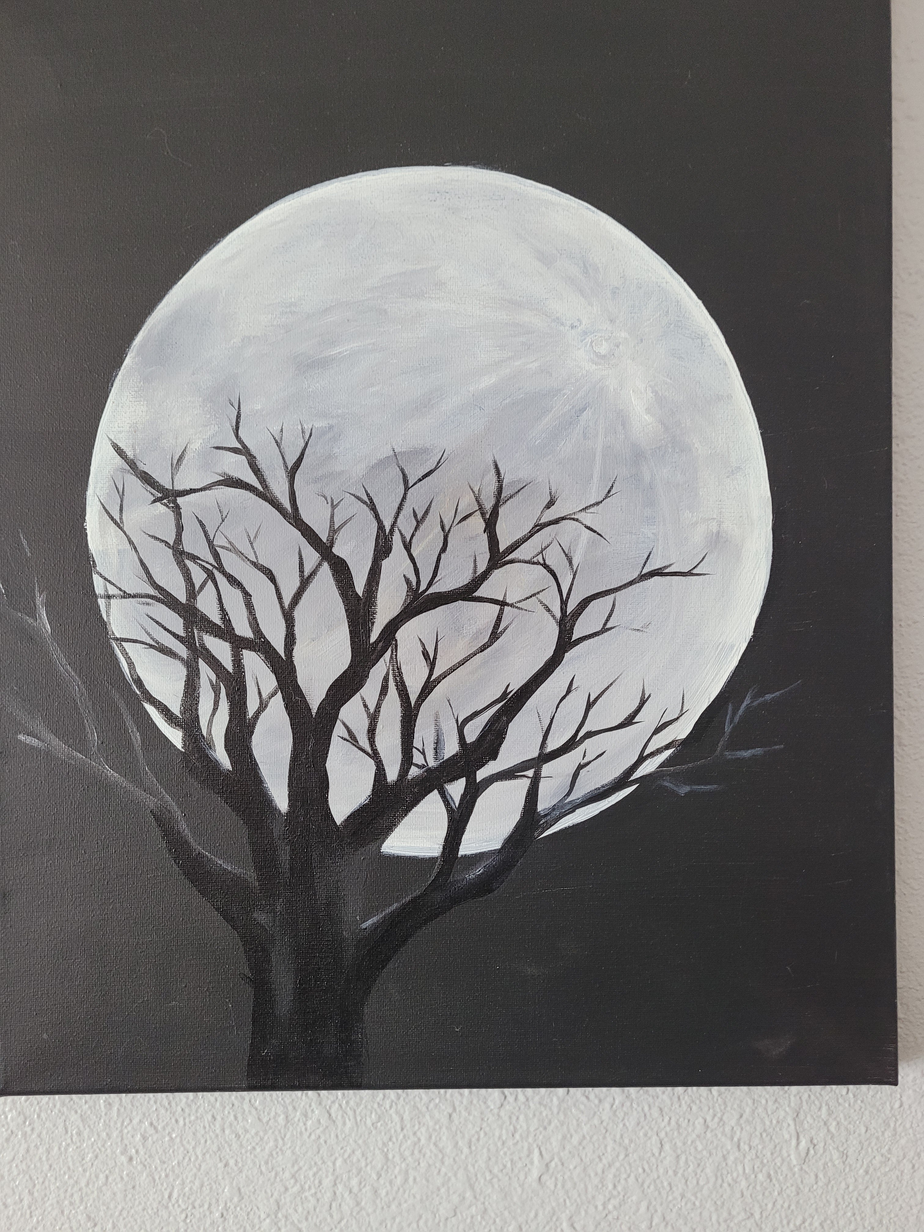 Shadow in the Moon Light