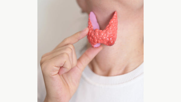 Image of thyroid gland