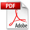 .pdf icon