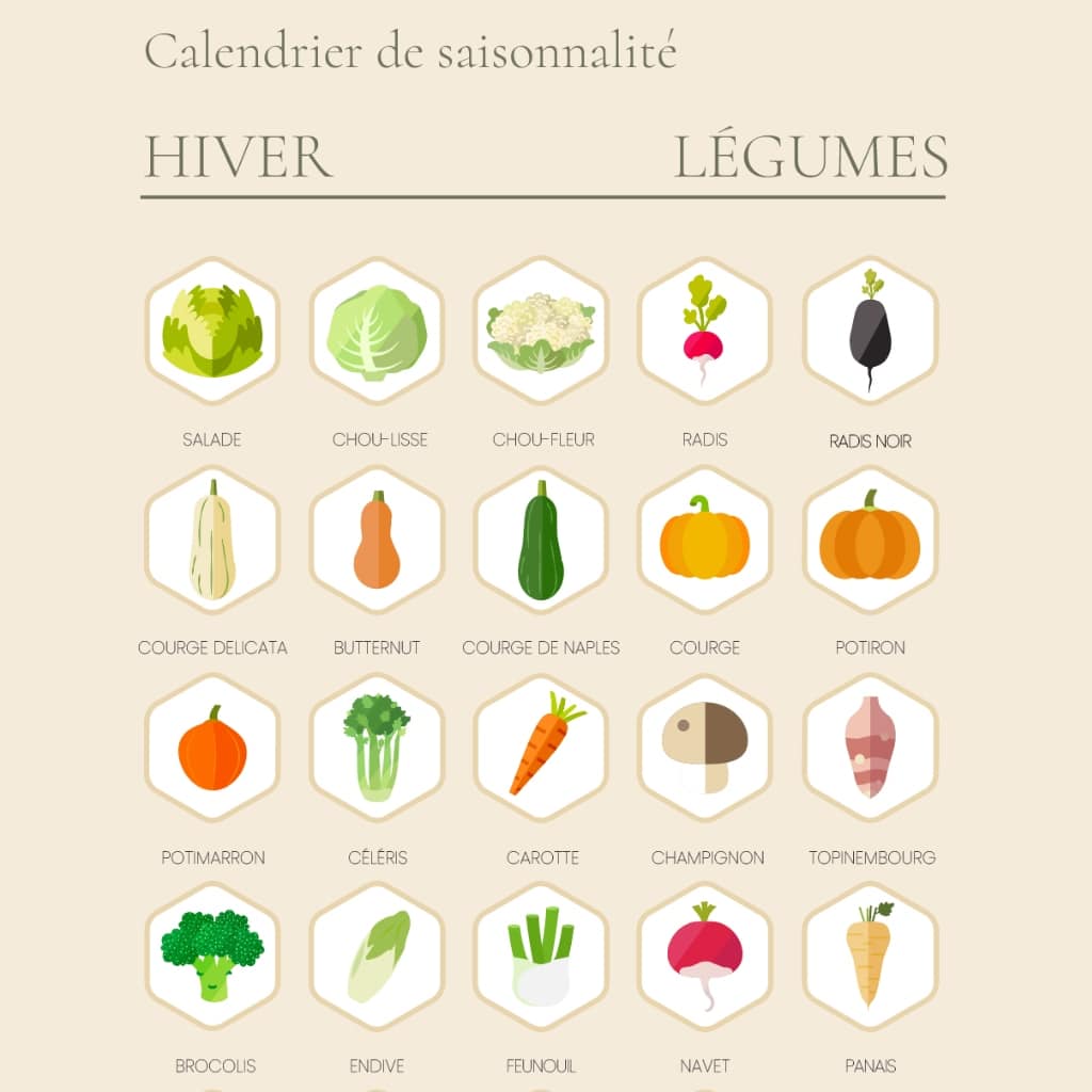 calendrier de saisonnalité des legumes d'hiver