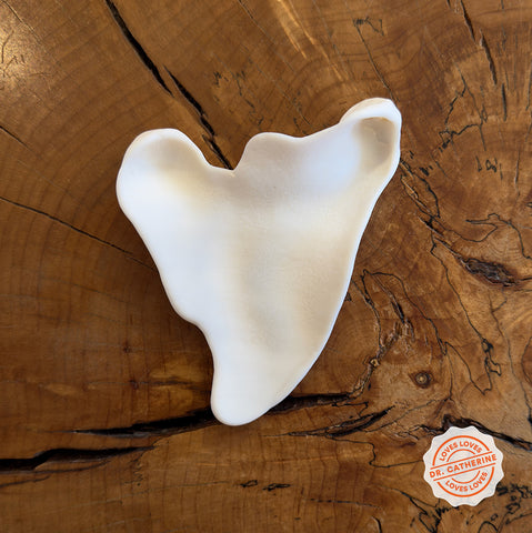 Dr Catherine's Found Shell Gua Sha Tool