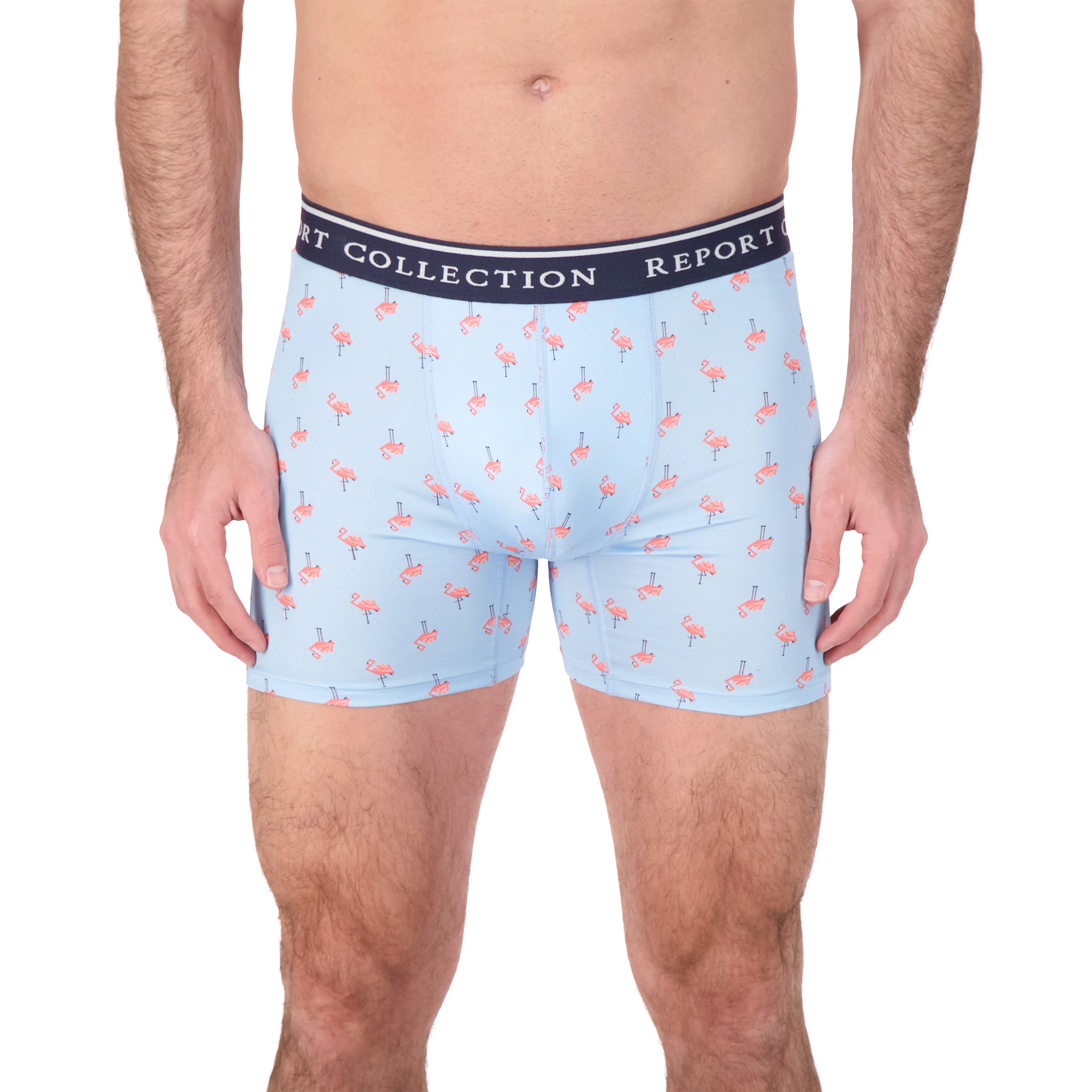 Boxer Underwear in Flamingo Print & Light Blue Report Collection