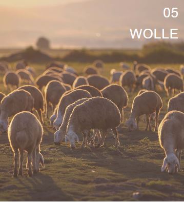 Wolle