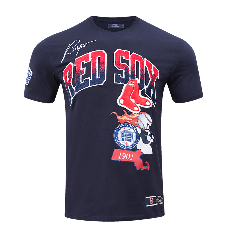 Men PRO STANDARD Boston Red Sox Retro Classic SJ Striped T-Shirt