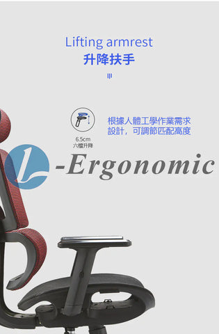 人體工學椅,人體工學椅推薦 2402041213