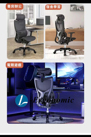電腦椅平價 24012504