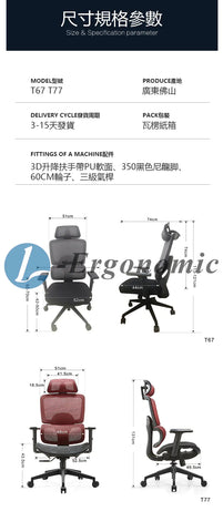 人體工學電競椅 231017062