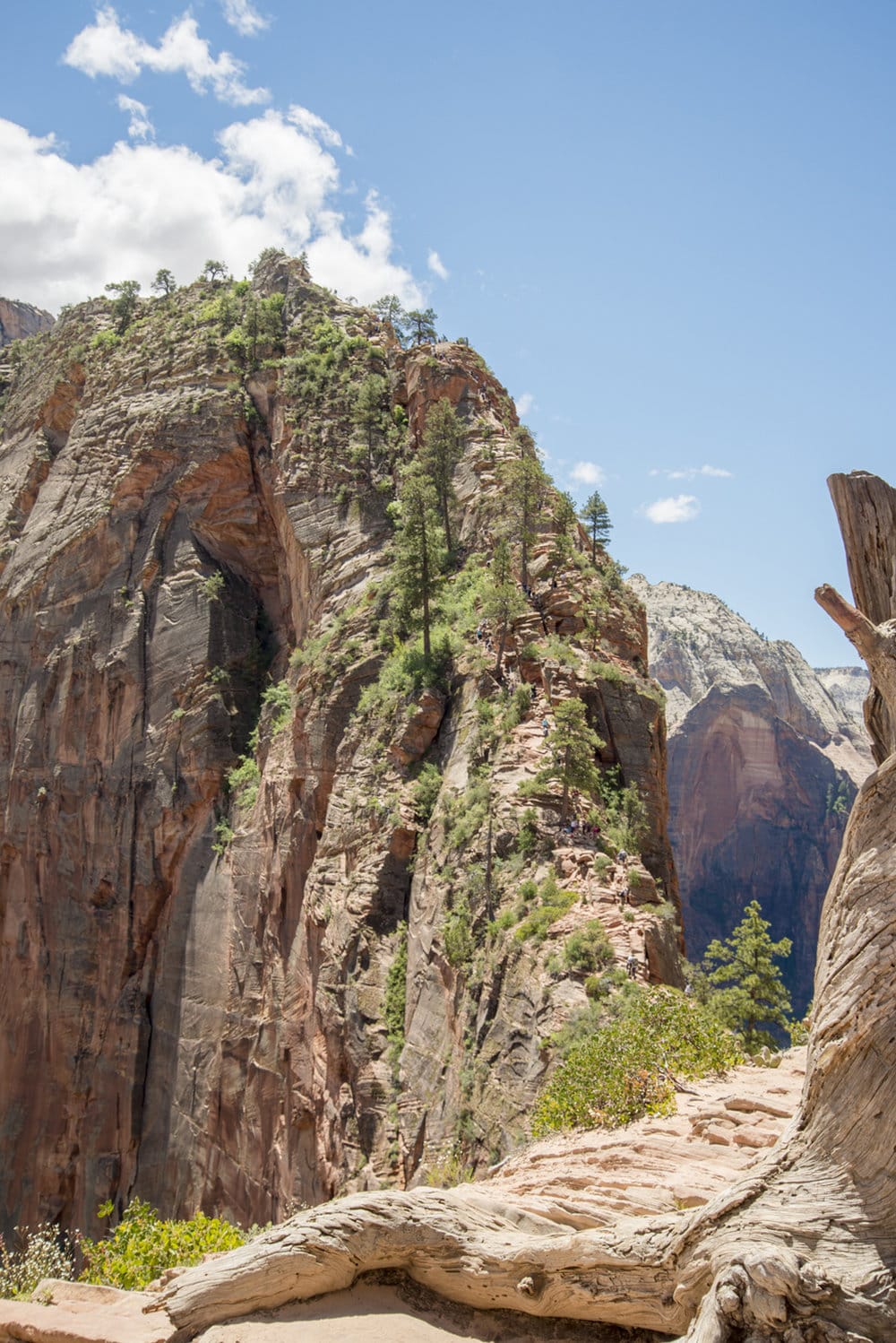 Angels Landing, Zion National Park, Utah - photo courtesy of Alexis and Margaret