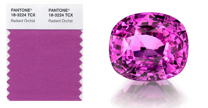 Gems-Radiant-orchid-omi