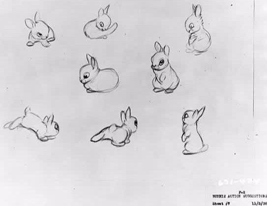 rabbit-interior-design-sample-image