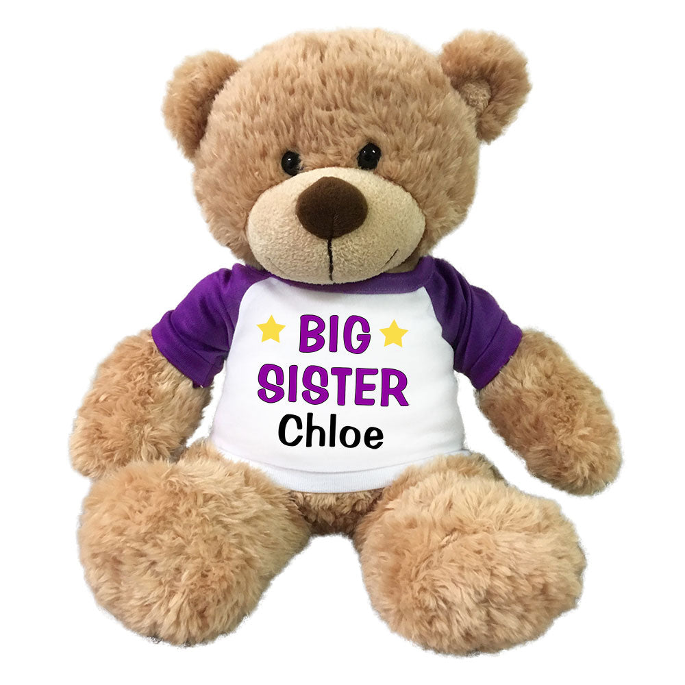 big sister teddy bear gift