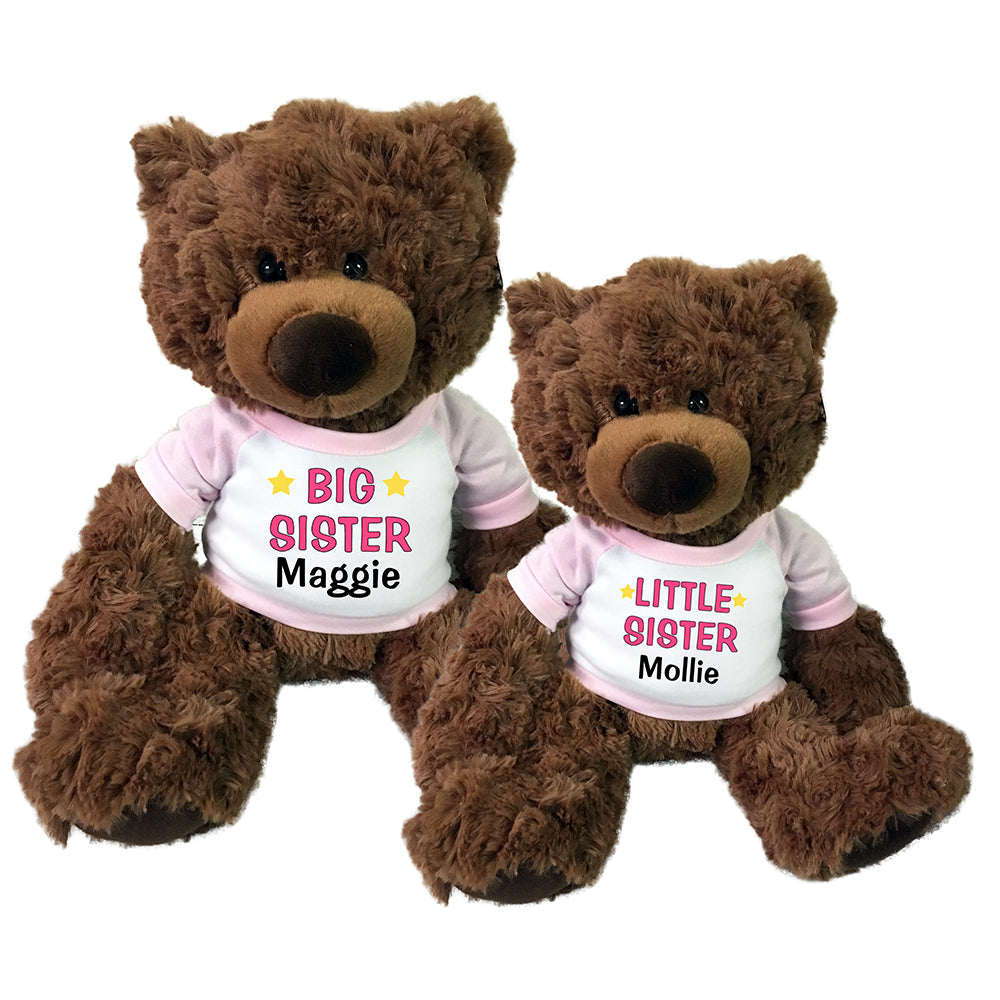 big sister teddy bear gift