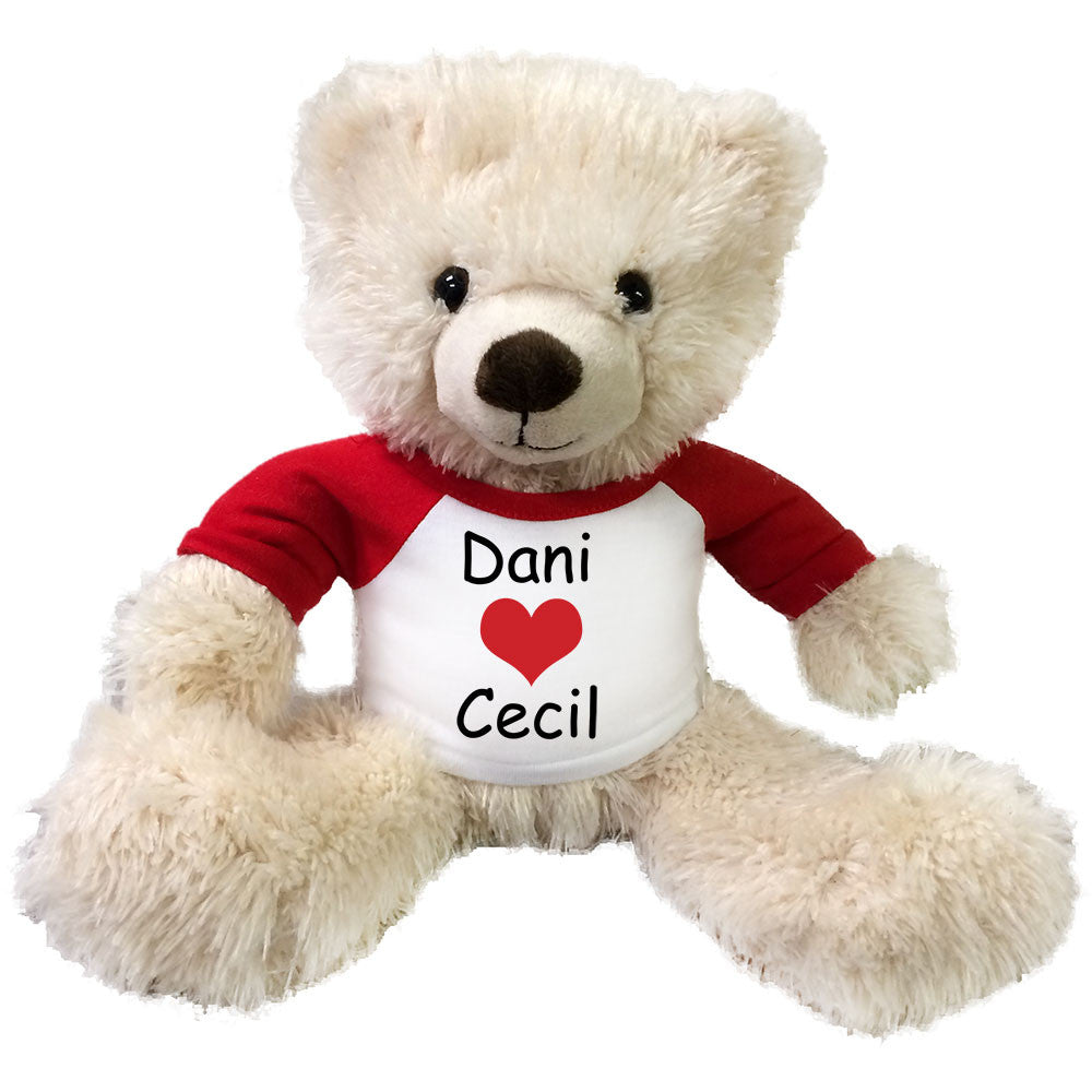 personalized valentine teddy bear