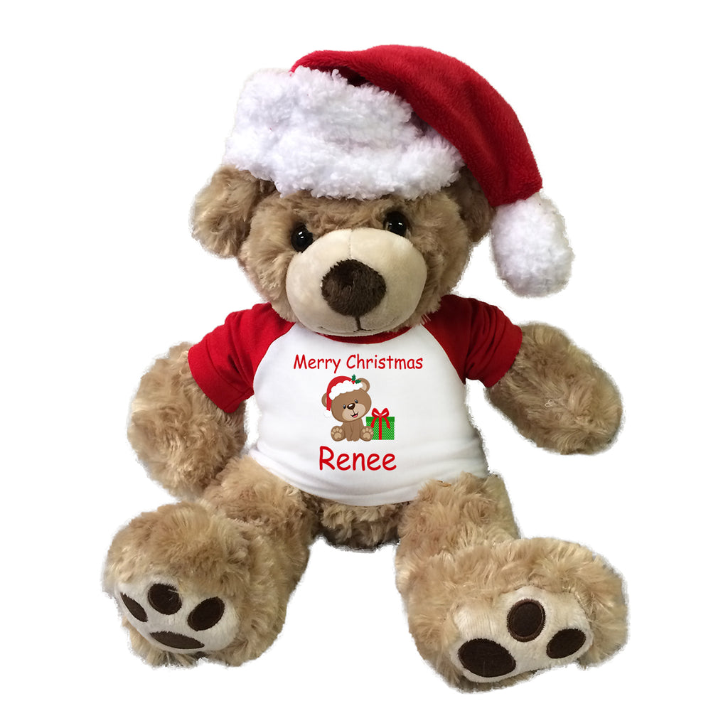 teddy bear with santa hat